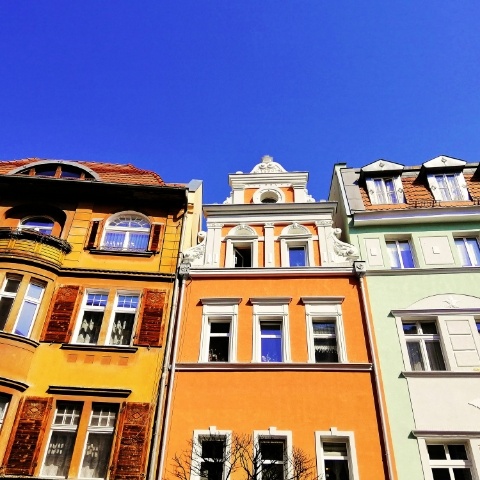Image -3