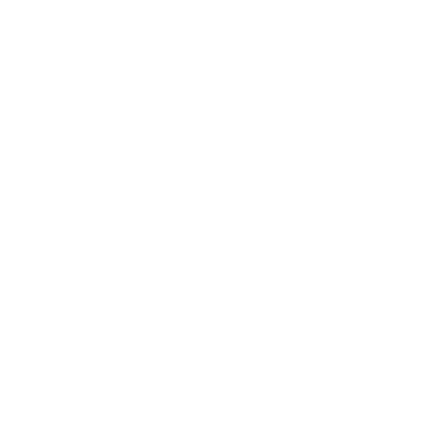 2(2)